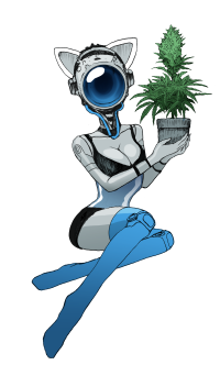 OnlyNugs Robot